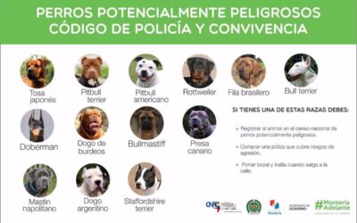 Recomendaciones de Mascotas en Bogotá